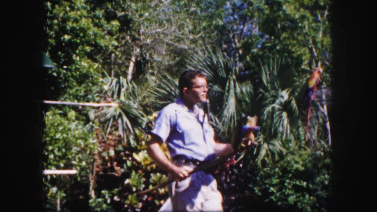 Adult guide in a 1960 Tampa garden setting holds a long-tailed colorful bird, with palm foliage and railings behind him.