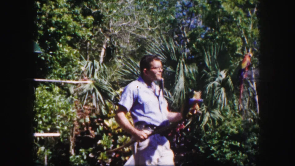 Adult guide in a 1960 Tampa garden setting holds a long-tailed colorful bird, with palm foliage and railings behind him.