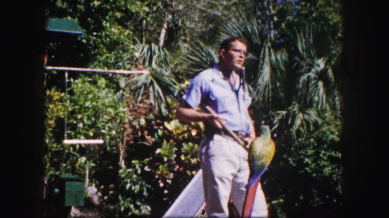 Circa-1960 Tampa home-movie frame of a man standing in dense greenery with a colorful macaw near his arm.
