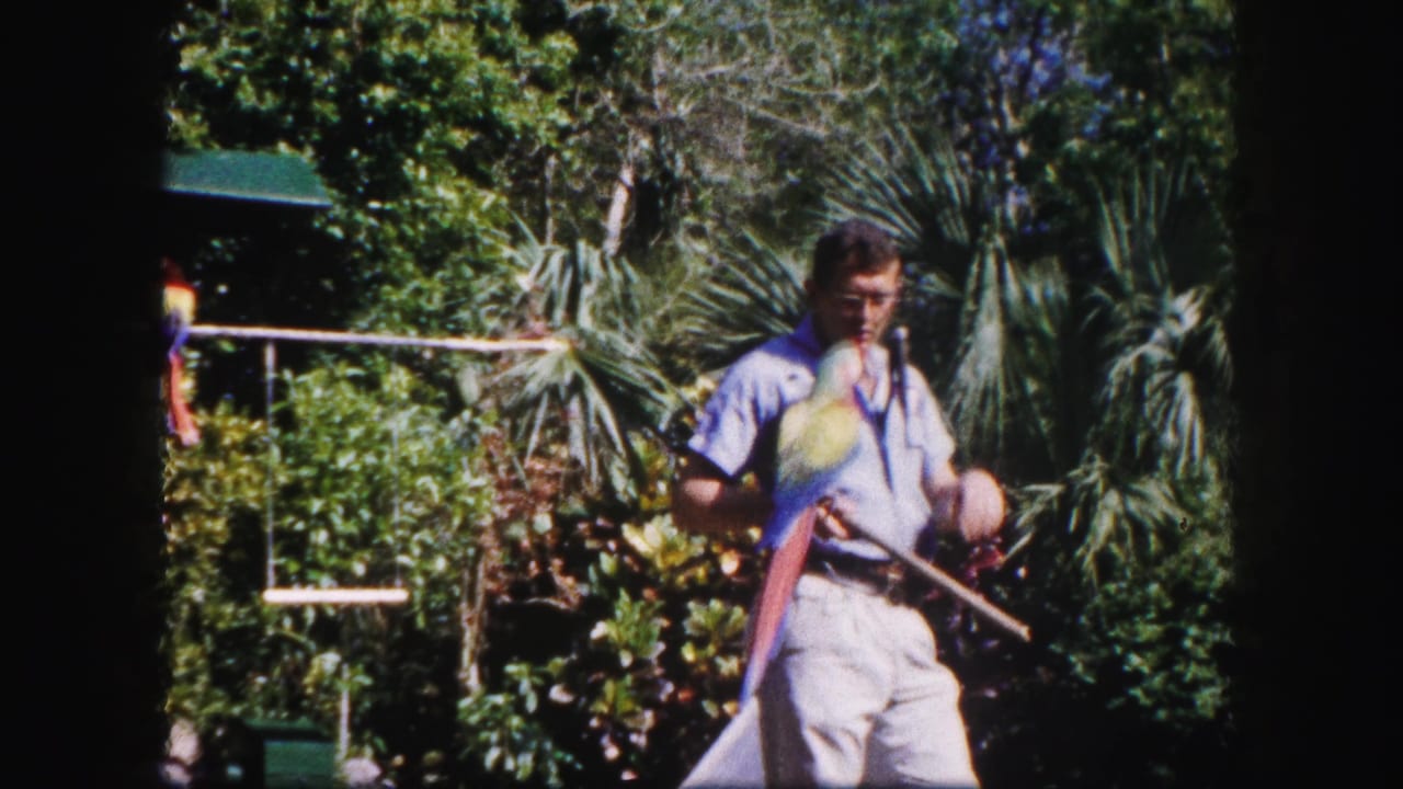 Man looks down while holding a macaw and a stick in the garden.
