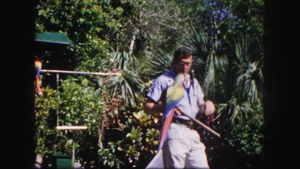The man appears to steady the macaw while holding a stick or perch in the tropical Tampa garden setting.