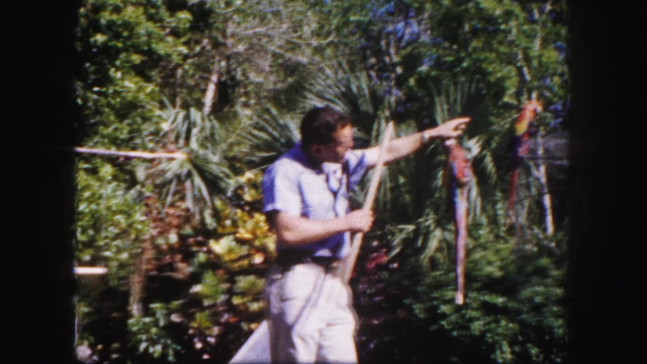 Final circa-1960 Tampa frame with the man reaching toward the macaw against dense subtropical garden foliage.