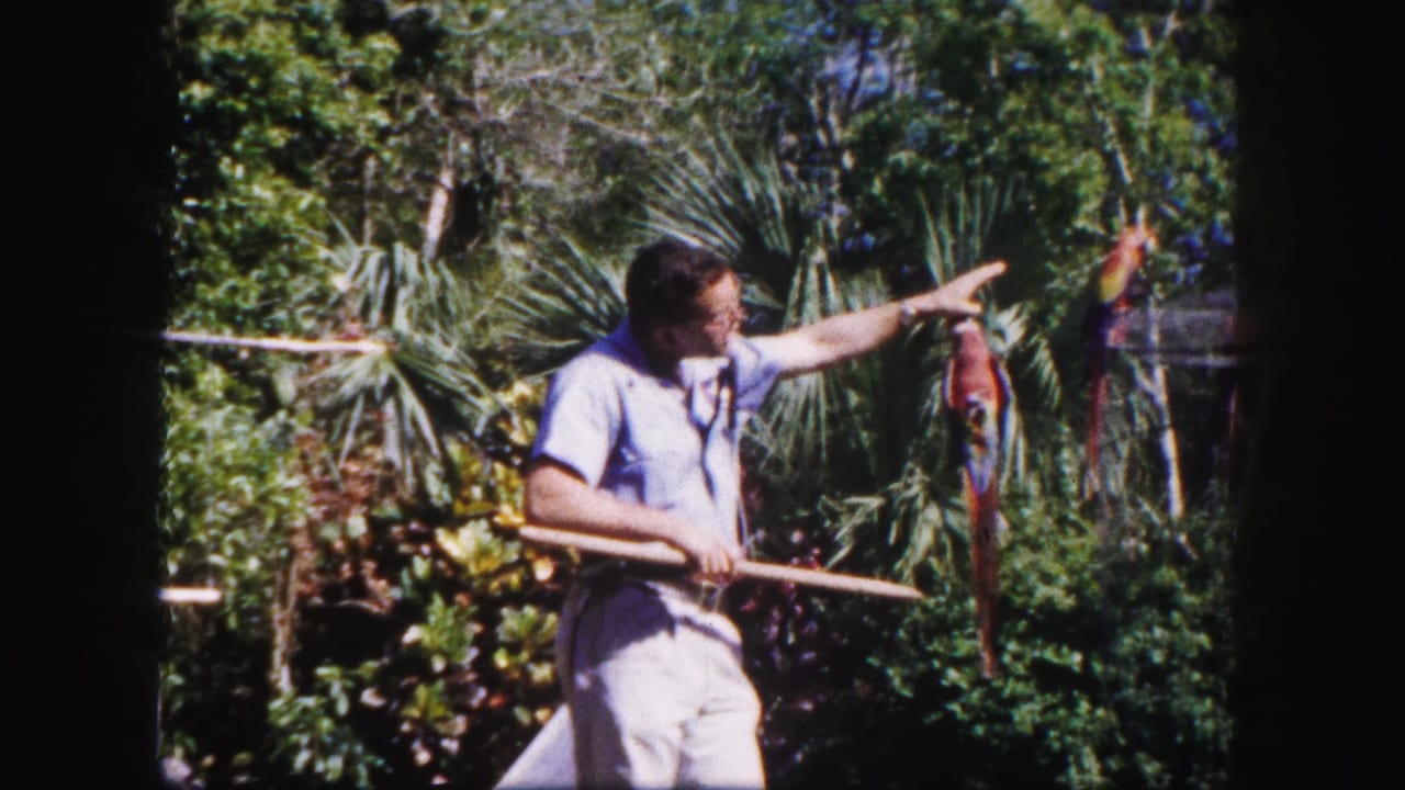 In 1960 Tampa home-movie footage, a man in light clothing extends his arm toward a colorful parrot among dense garden foliage.