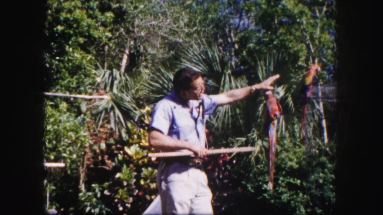 Man holds a stick near two colorful parrots perched among garden plants.