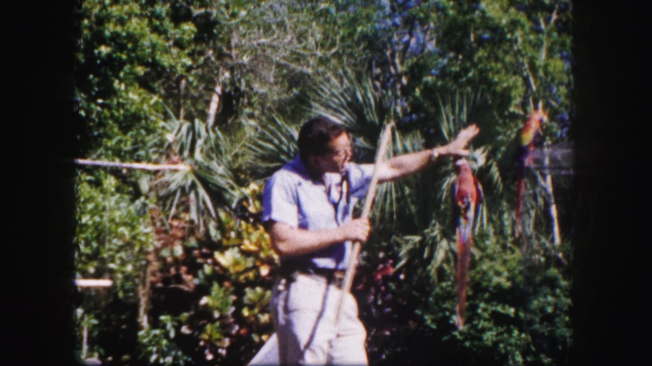 In the garden scene, the man lifts a stick near a colorful parrot while another bird is partly visible on a pole.
