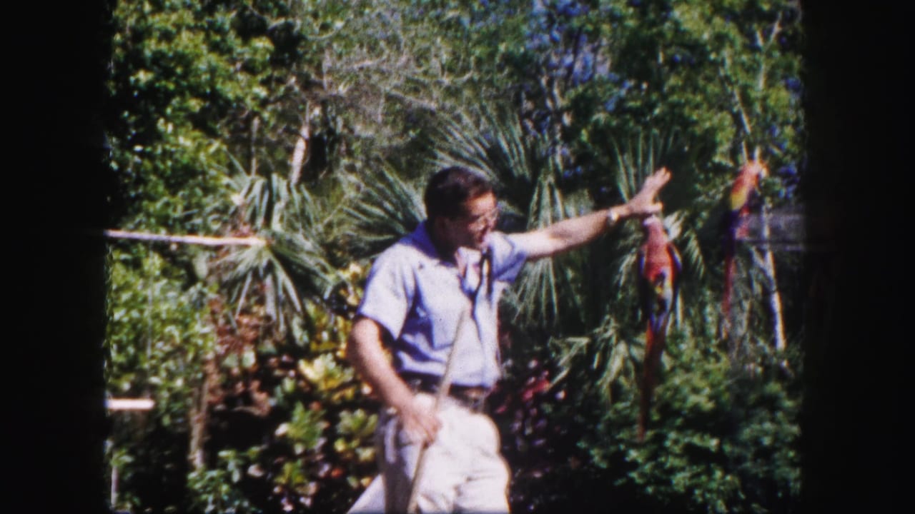 The 1960 Tampa footage shows the man lowering his arm as a red-and-blue parrot stays perched against thick tropical foliage.
