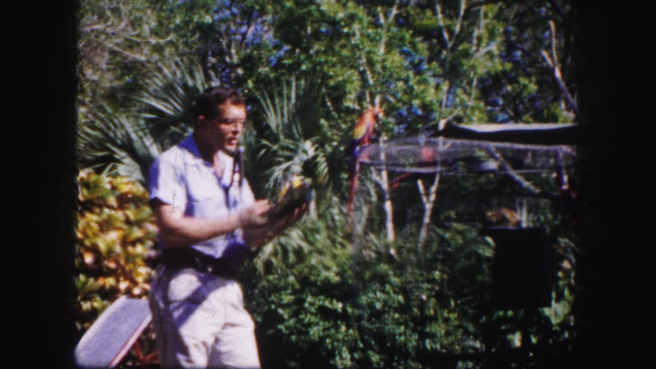 In the final frame, the Tampa zoo handler appears near a colorful parrot and enclosure amid dense tropical landscaping.
