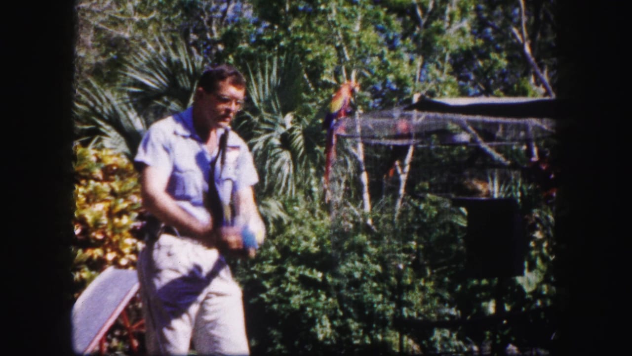 Man in a light shirt stands in a tropical garden holding a blue-and-yellow macaw.