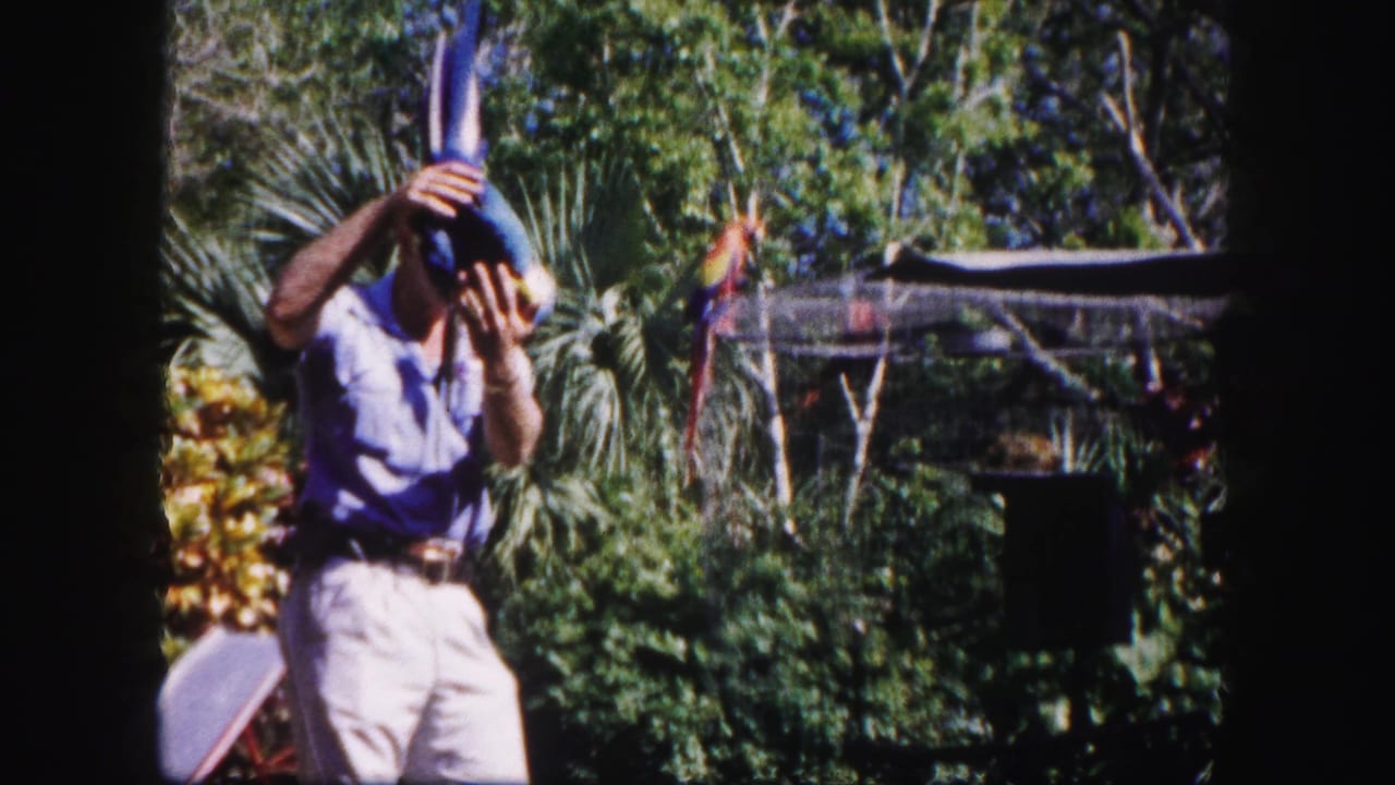 Man raises a large macaw overhead beside palms and garden foliage.