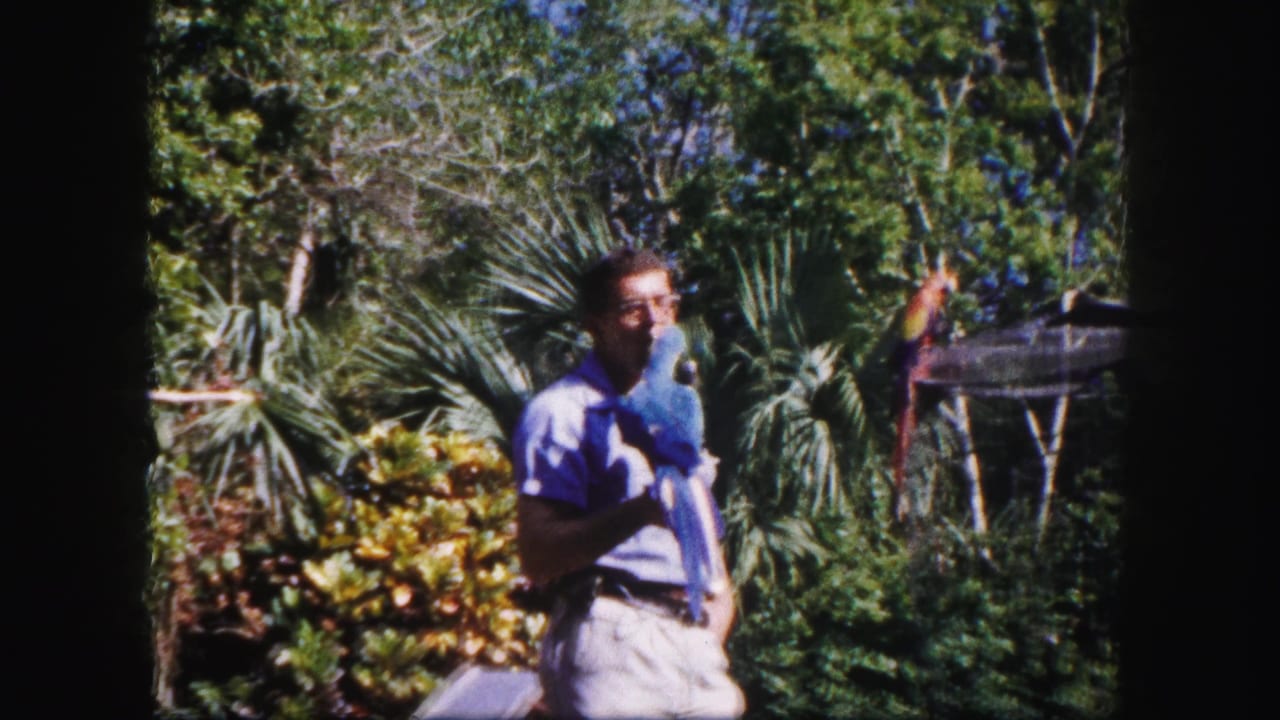 In the Tampa garden setting, the man cradles the macaw near his chest with palms, shrubs, and enclosure netting in the background.