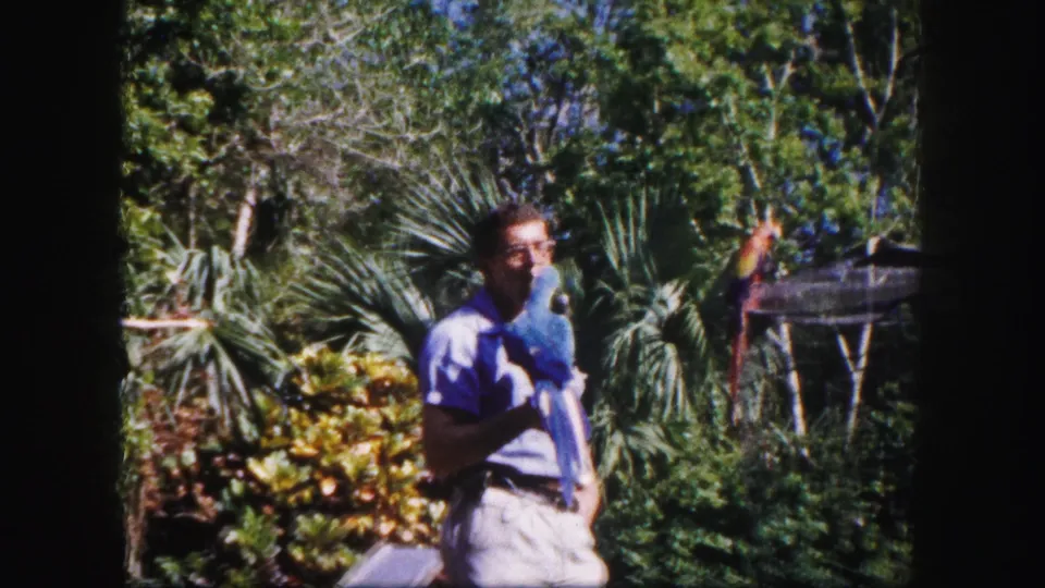 In the Tampa garden setting, the man cradles the macaw near his chest with palms, shrubs, and enclosure netting in the background.