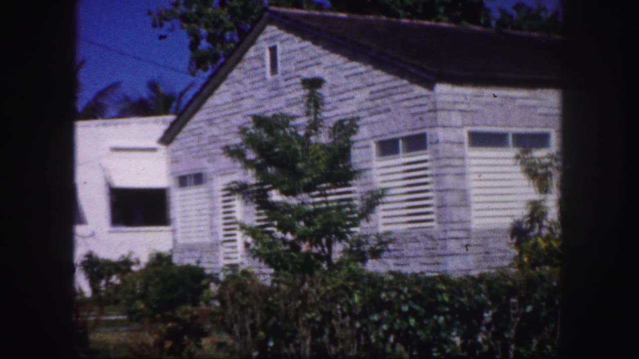 A white exterior building with windows is seen beyond shrubs and trees in the Tampa garden footage.