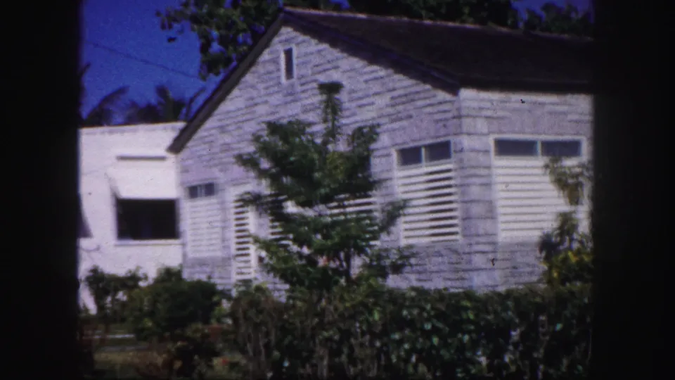 A white exterior building with windows is seen beyond shrubs and trees in the Tampa garden footage.