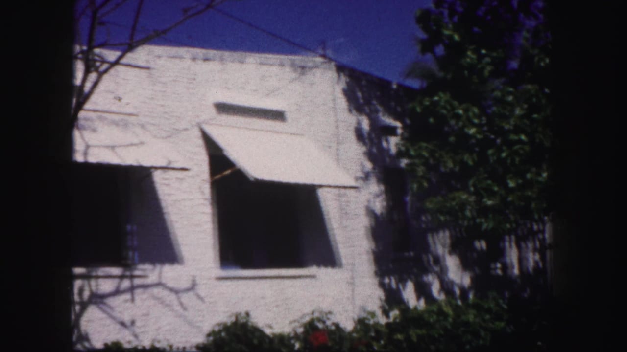 1960 Tampa house facade with white stucco, two dark windows, projecting awnings, shrubs, and tree shadows across the wall.