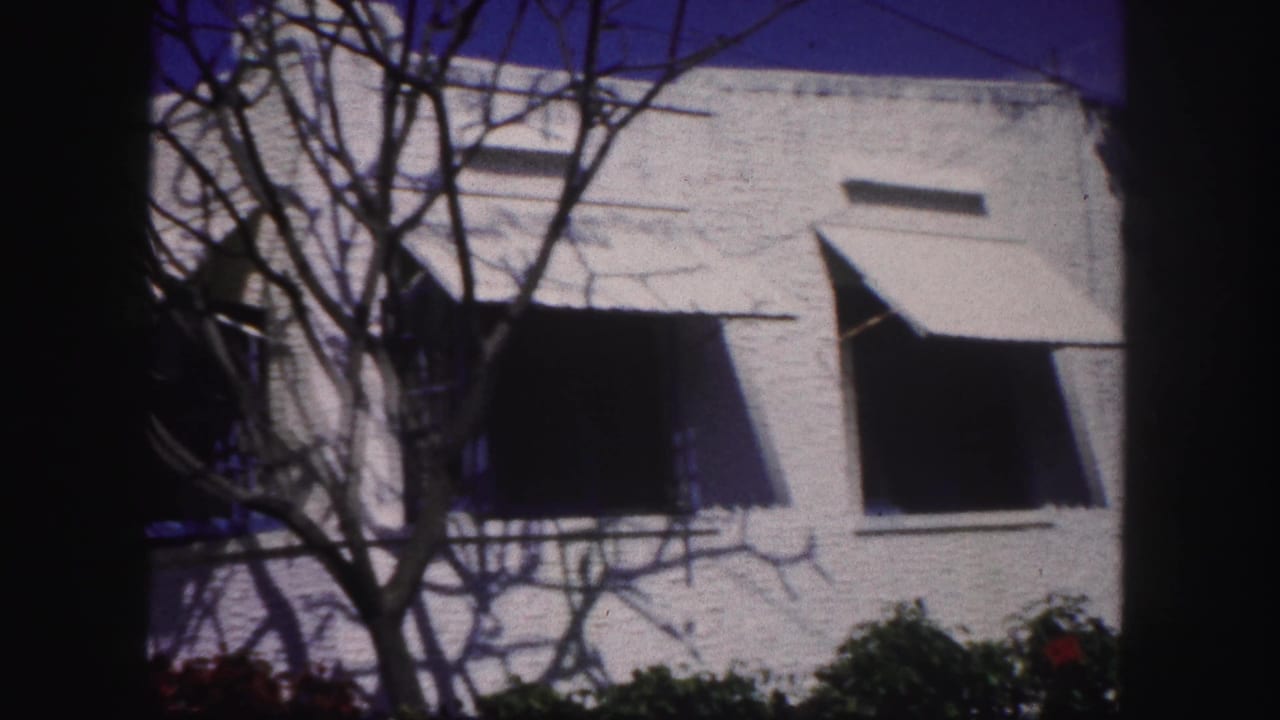 White Tampa residential facade with awning-covered windows, bare tree branches, low shrubs, and dark window shadows.