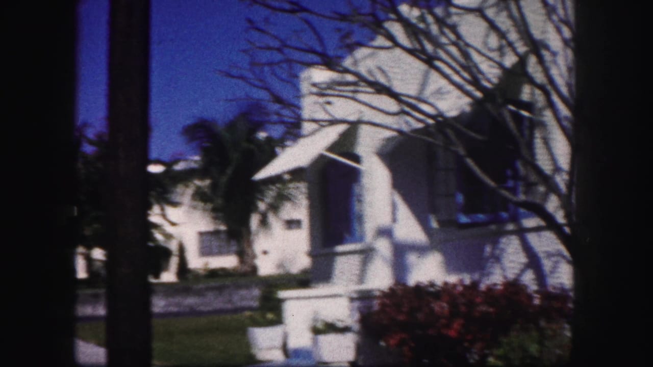 Sunlit white building, palm trees, lawn, and dark vertical foreground framing.