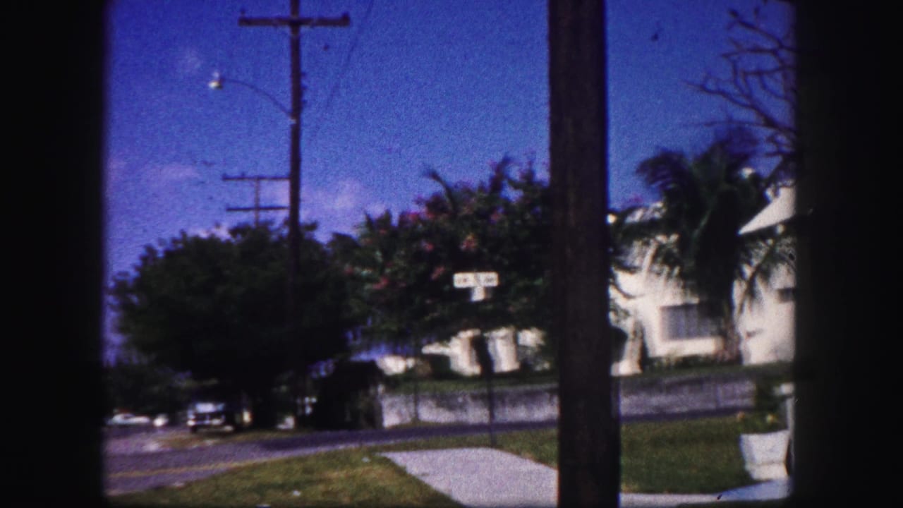 1960 Tampa neighborhood view showing utility poles, sidewalk, trees, lawn, and white residential buildings across the street.
