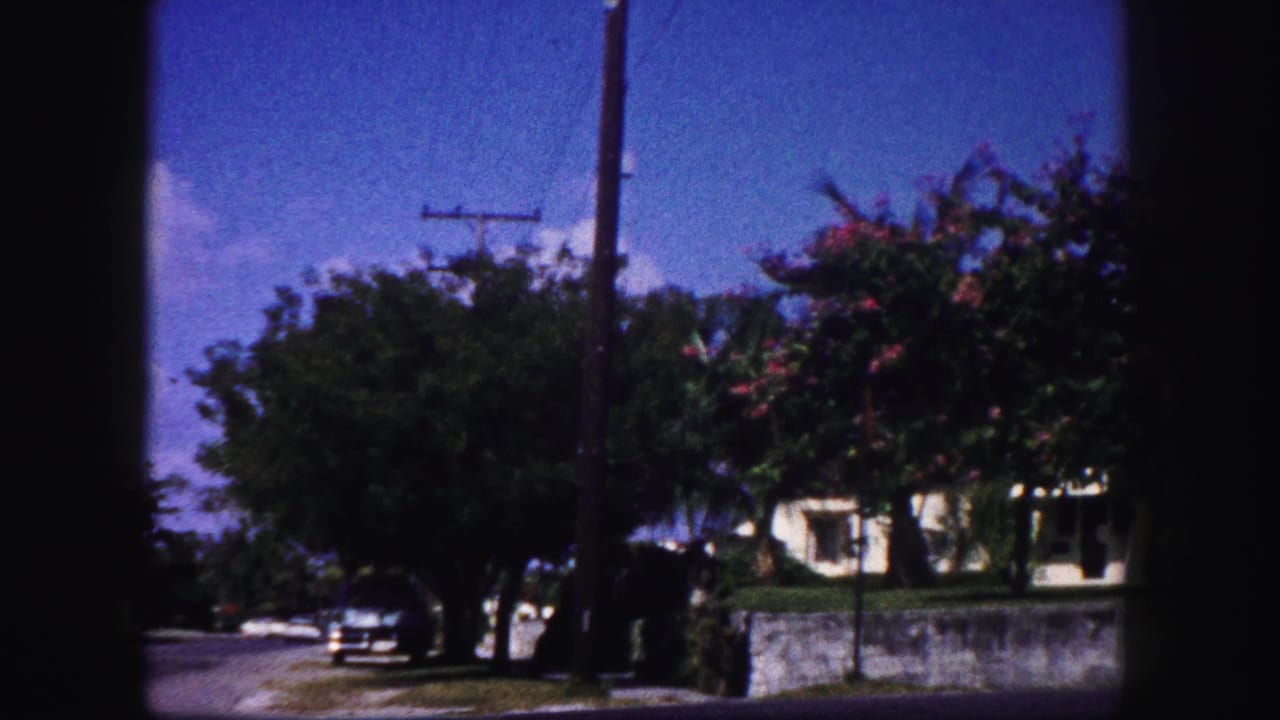1960 Tampa home-movie frame looking toward a tree-lined street, utility pole, parked car, wall, and low building partly hidden by foliage.