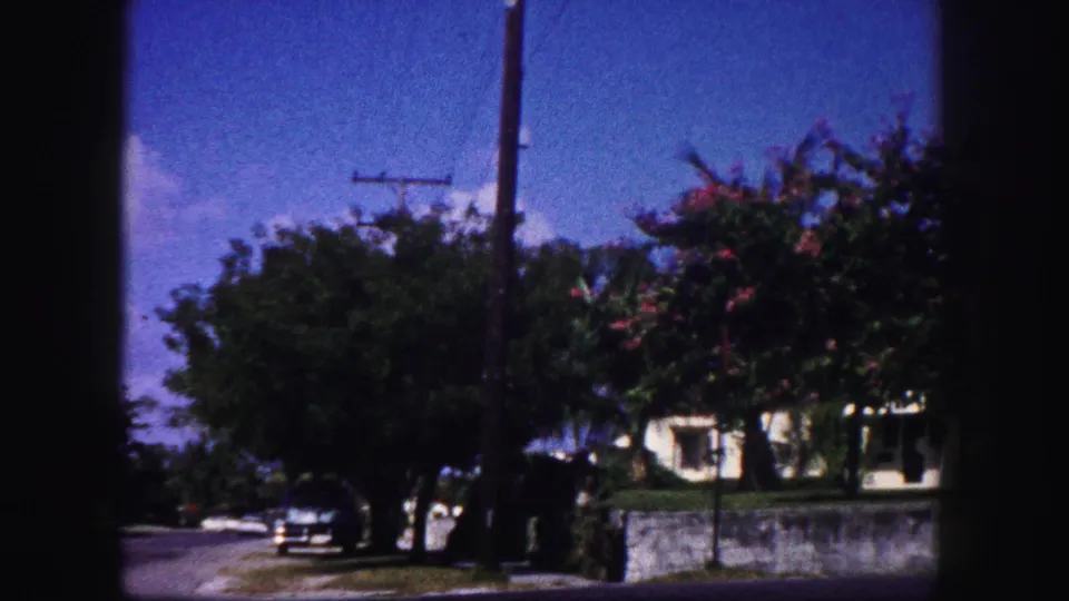 1960 Tampa home-movie frame looking toward a tree-lined street, utility pole, parked car, wall, and low building partly hidden by foliage.