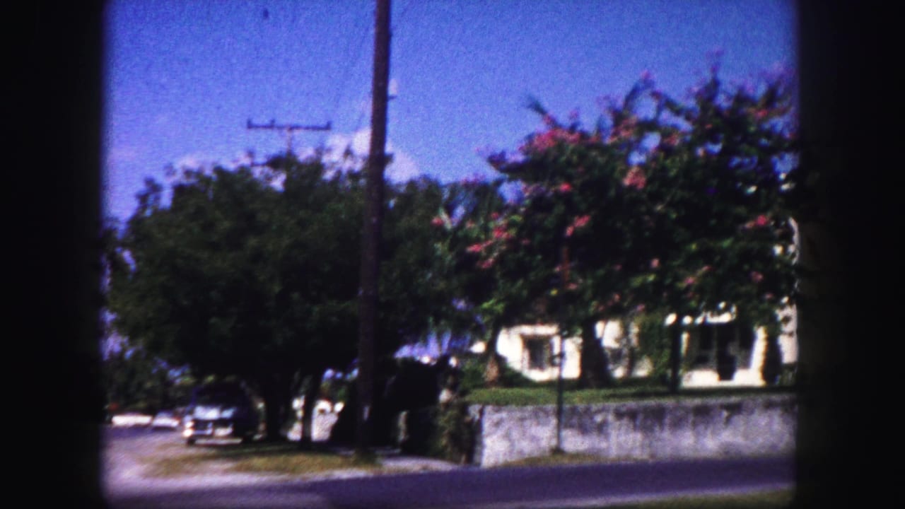 Palm-lined residential street with white houses, trees, road, and a car at left.