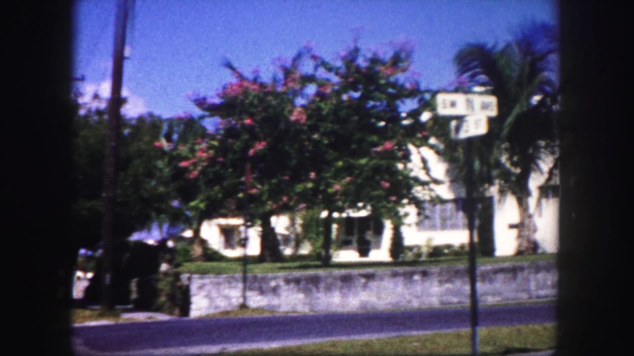 1960 Tampa frame with white residential buildings behind a low wall, tropical trees, and a street sign near the roadside.
