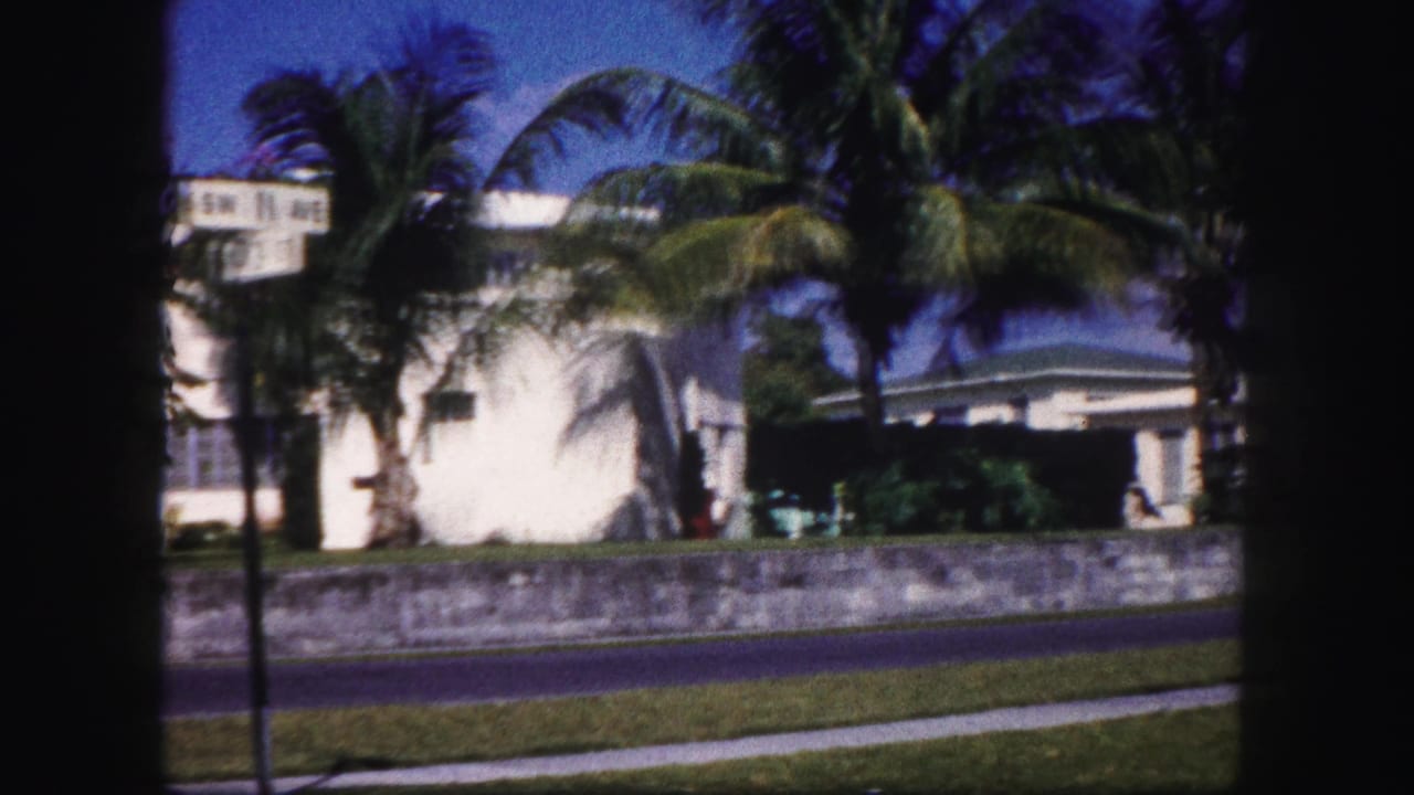 1960 Tampa frame with palm trees, a white residential building, low roadside wall, sidewalk, and shaded porch area.