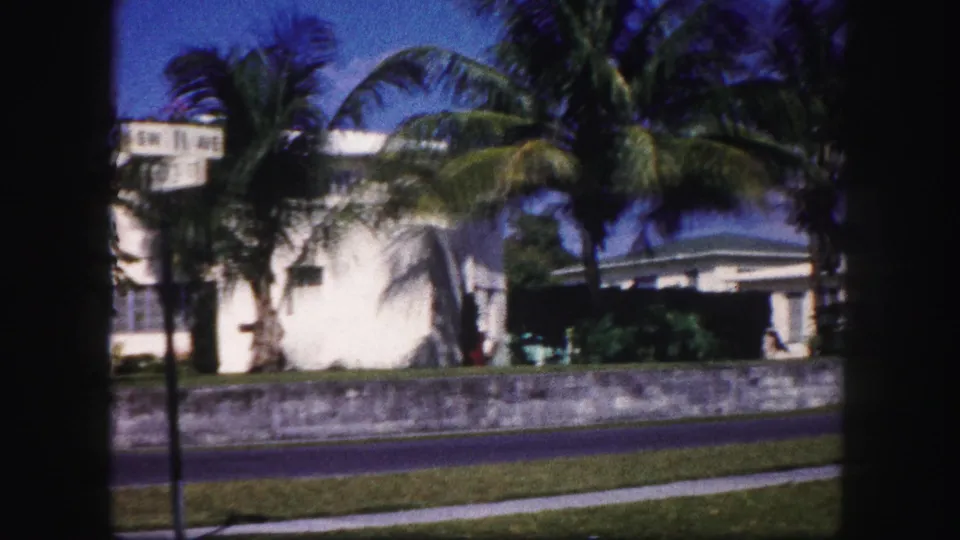 1960 Tampa frame with palm trees, a white residential building, low roadside wall, sidewalk, and shaded porch area.
