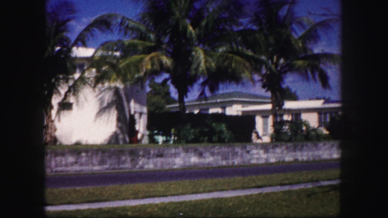 White suburban house behind palms and a low wall on a sunny residential street.