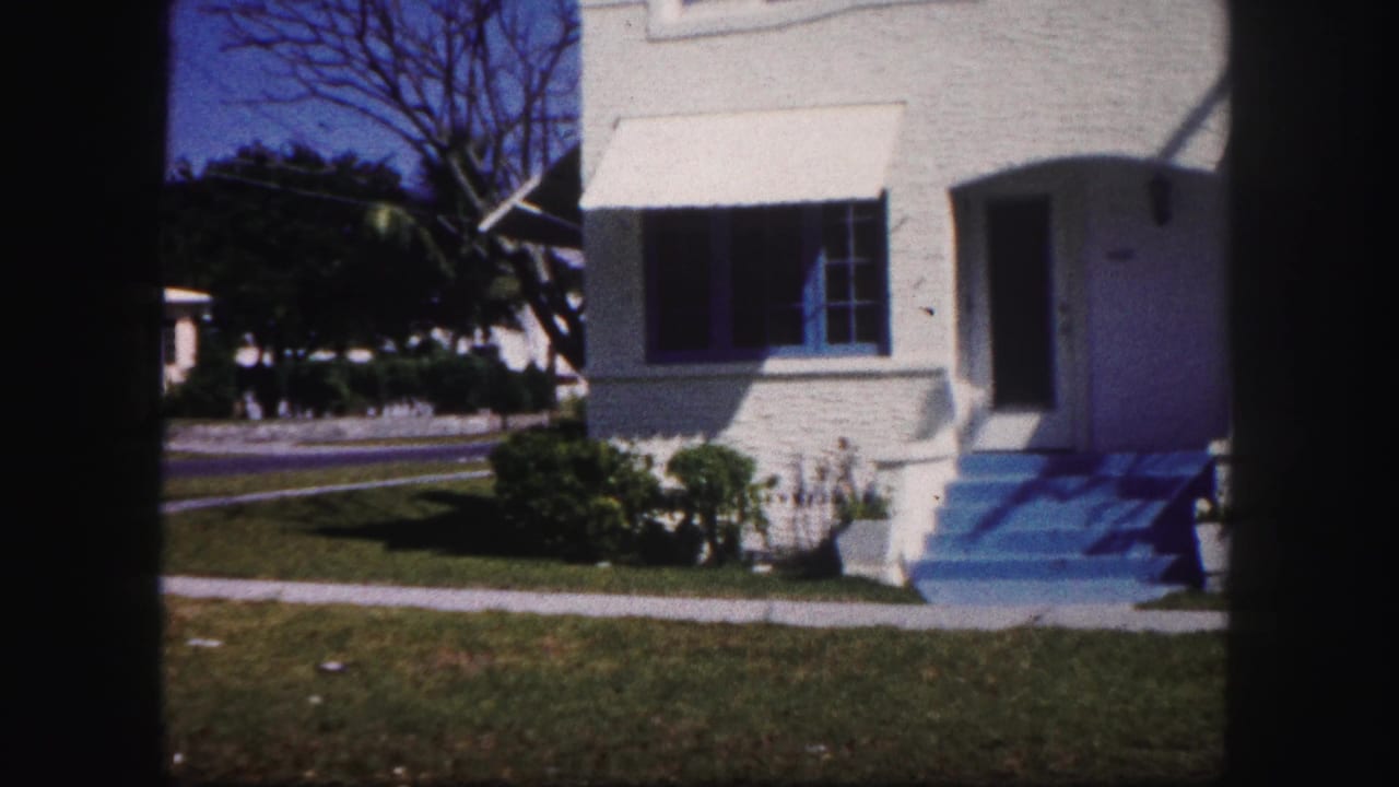House corner with blue steps, lawn, sidewalk, shrubs, palm trees, and neighboring street.