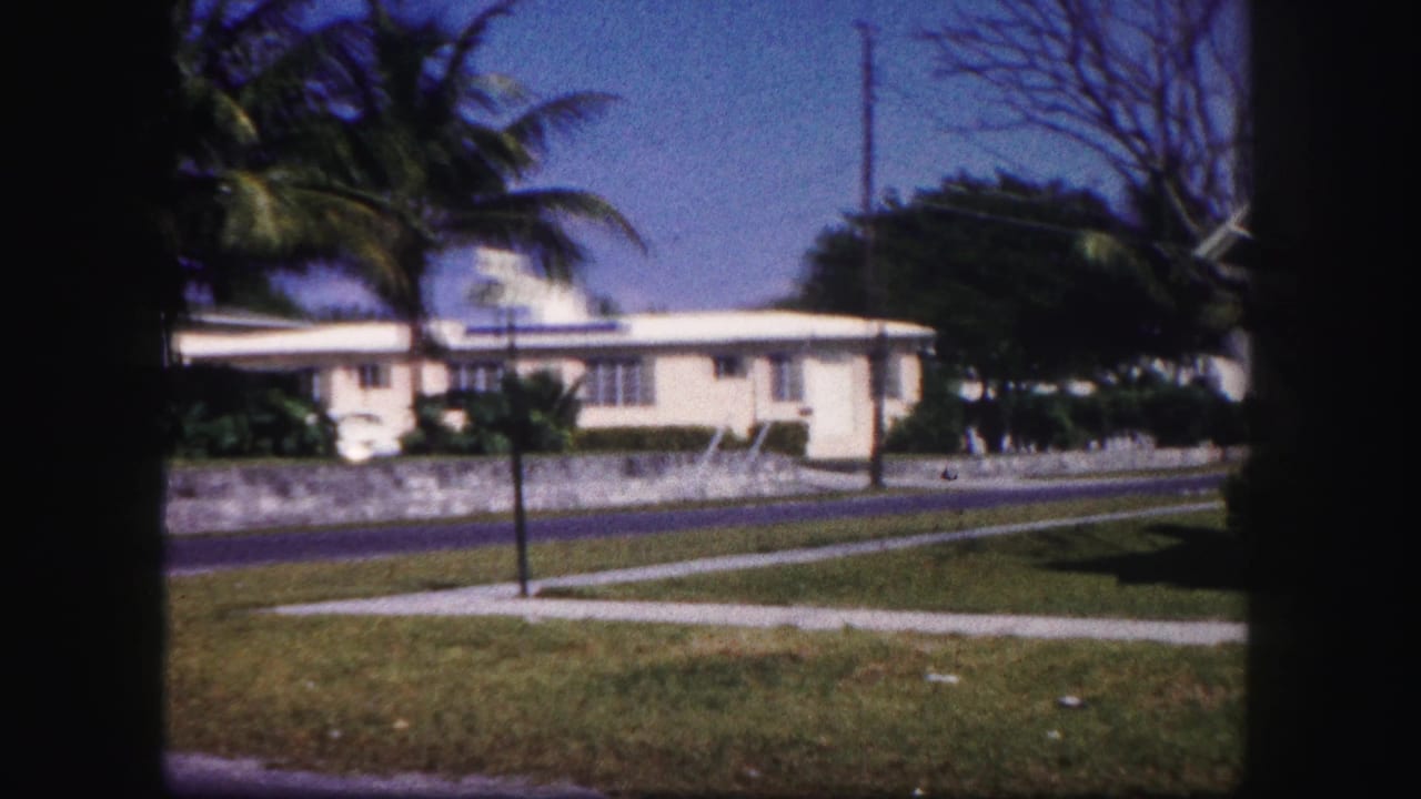 1960 Tampa frame showing a lawn and sidewalk in front of a pale neighboring house, with a palm tree, road, and utility pole visible.