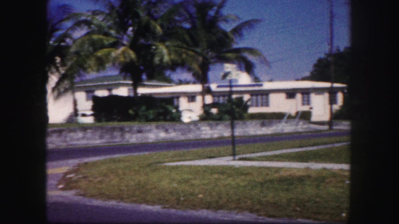 1960 Tampa residential street view with a white low-slung house, palm trees, concrete wall, sidewalk, and sunlit road.