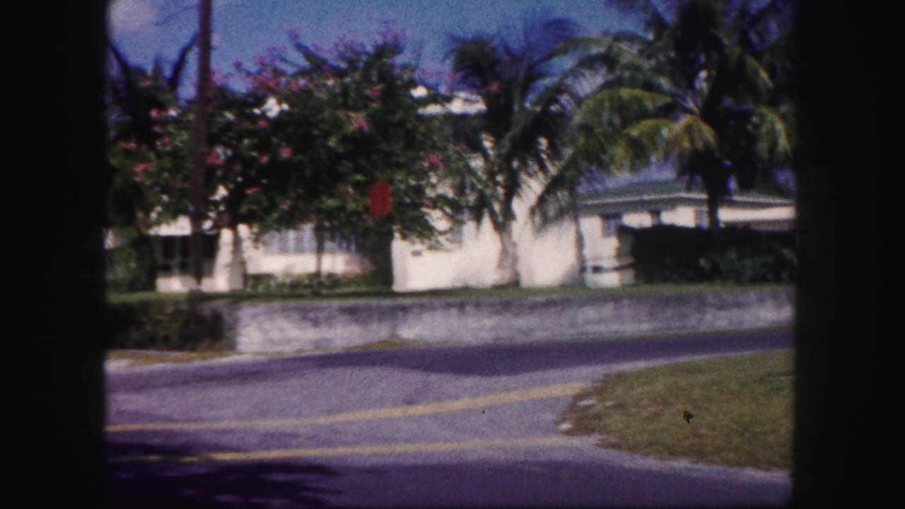 Flowering shrub and palm trees partly screen a white house behind a low wall.