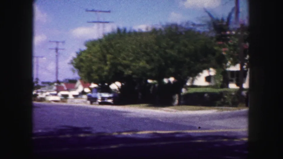 1960 Tampa neighborhood street with trimmed roadside trees, utility poles, parked cars, pavement, and houses partly hidden by foliage.