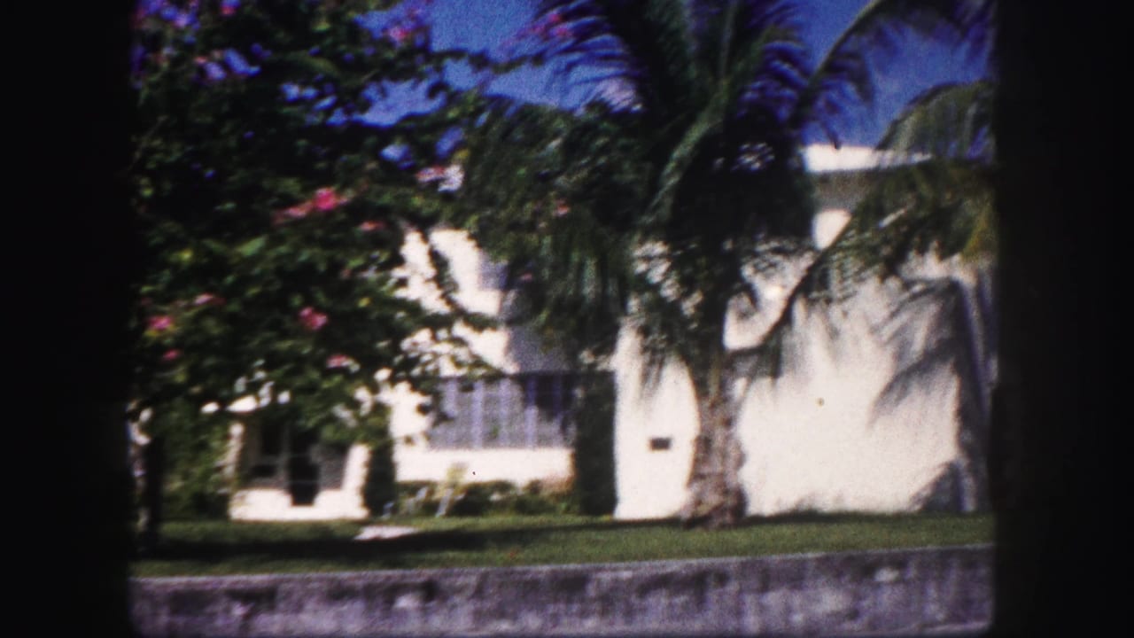 Residential building with windows, palms, flowering branches, and lawn.