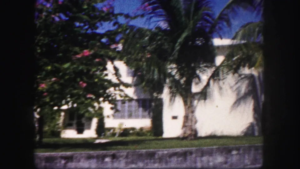 1960 Tampa residential exterior with stucco walls, shaded windows, palm foliage, flowering branches, and a manicured lawn.