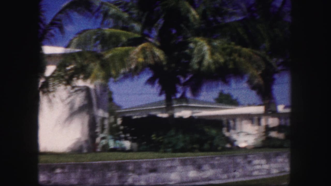 1960 Tampa home-movie view of palm trees, a white residential exterior, shrubs, grass, and a roadside wall.