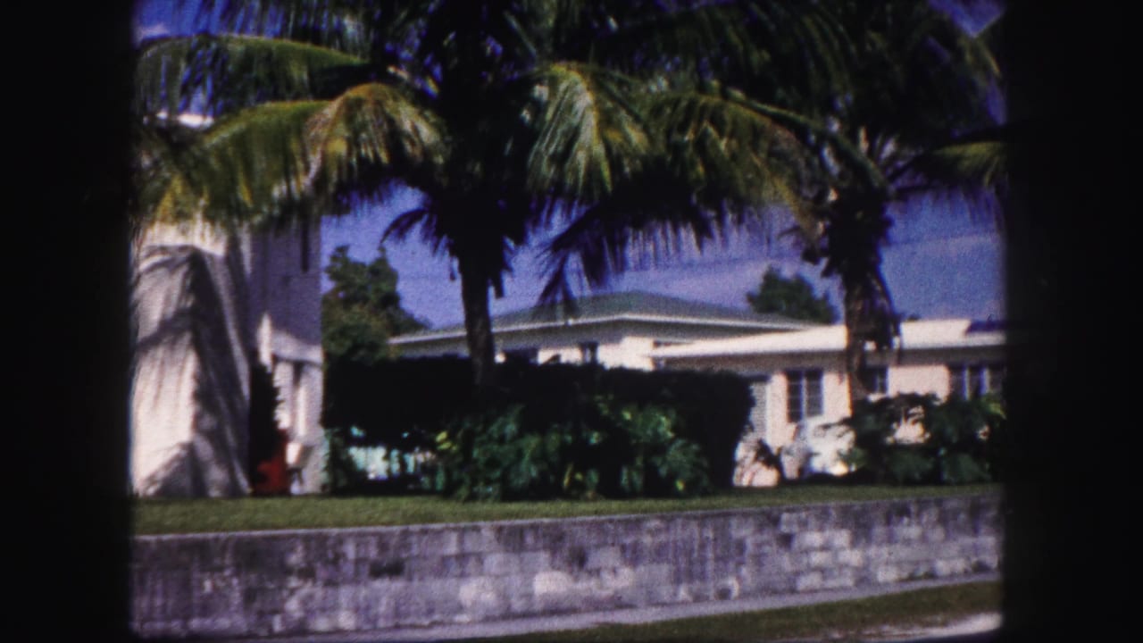 1960 Tampa frame showing palms over a white house, dense shrubs, a lawn, low wall, and street edge in saturated 8mm color.