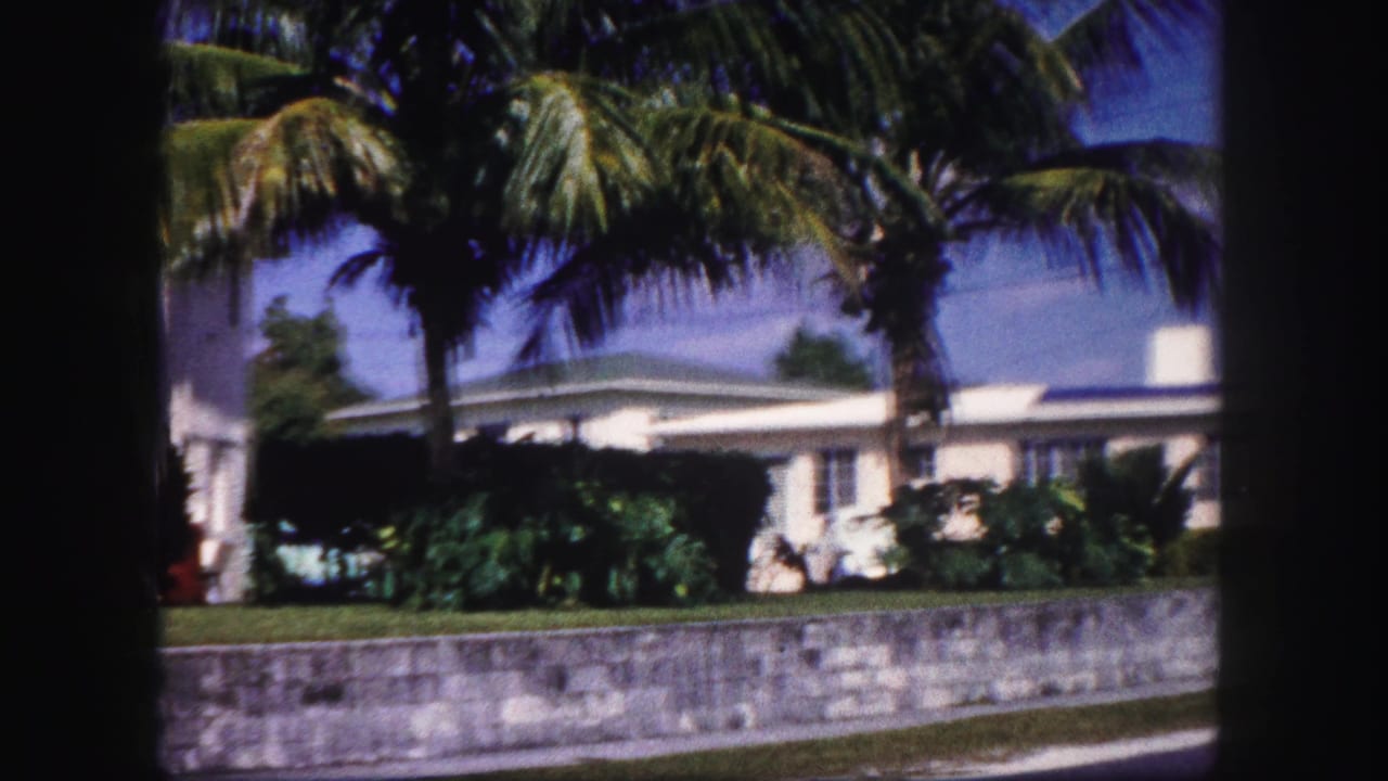 White single-story house behind a low wall with palm trees and a sidewalk.