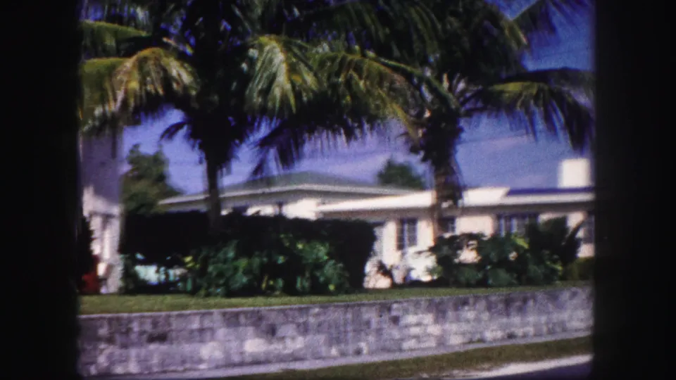 1960 Tampa residential street view with a white one-story house, palm trees, shrubs, grass, and a low wall.