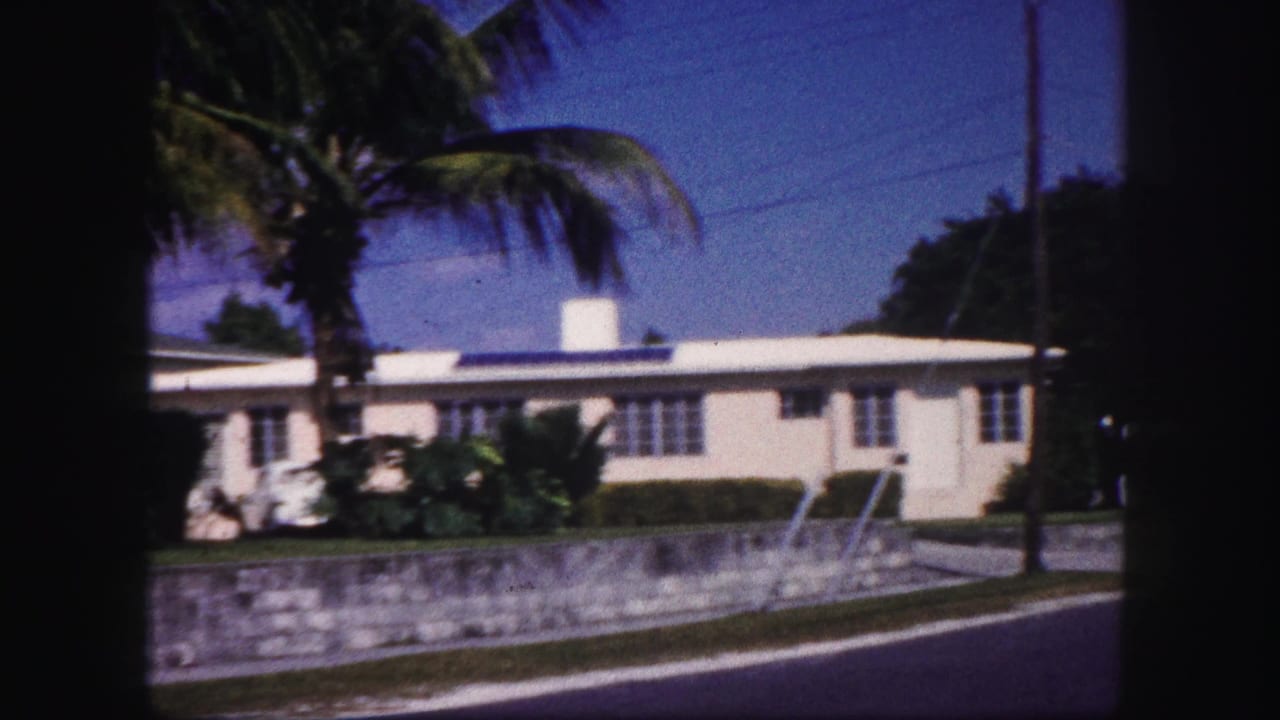 Street-side view of a white Tampa house with palm trees, a low wall, utility lines, and bright blue sky.