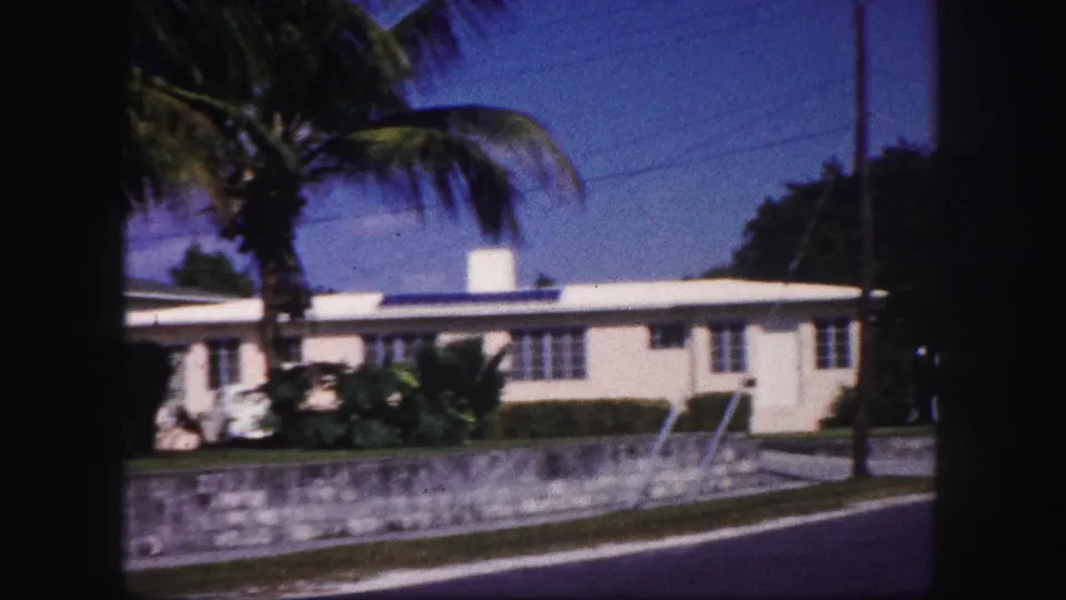 Street-side view of a white Tampa house with palm trees, a low wall, utility lines, and bright blue sky.