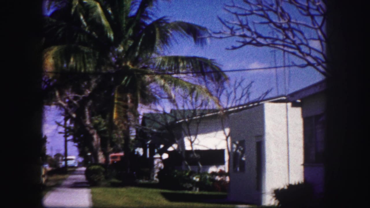 White one-story house with palm tree, awning, lawn, and dark film border.