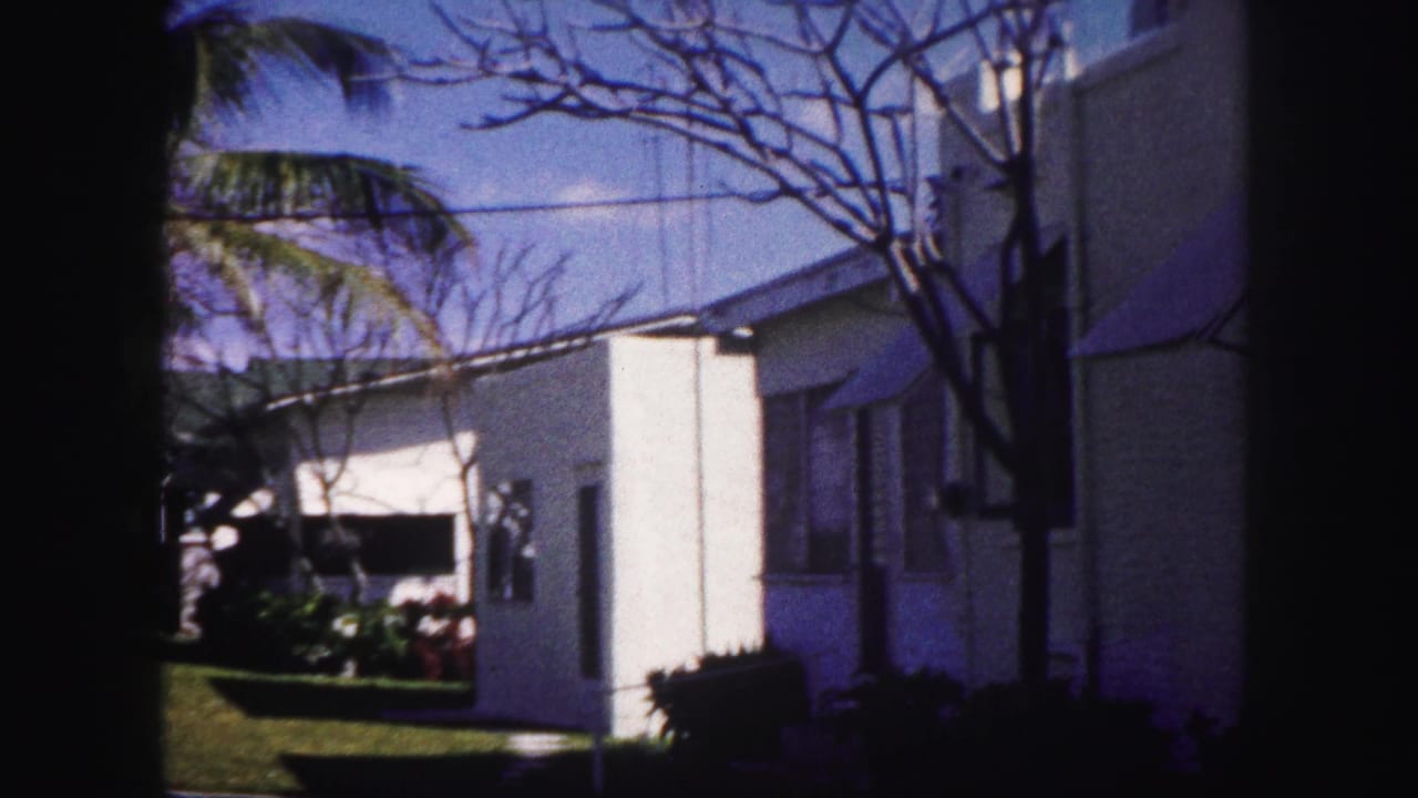 1960 Tampa residential exterior with white walls, windows, a dark awning, palm fronds, lawn, and heavy film-frame edges.