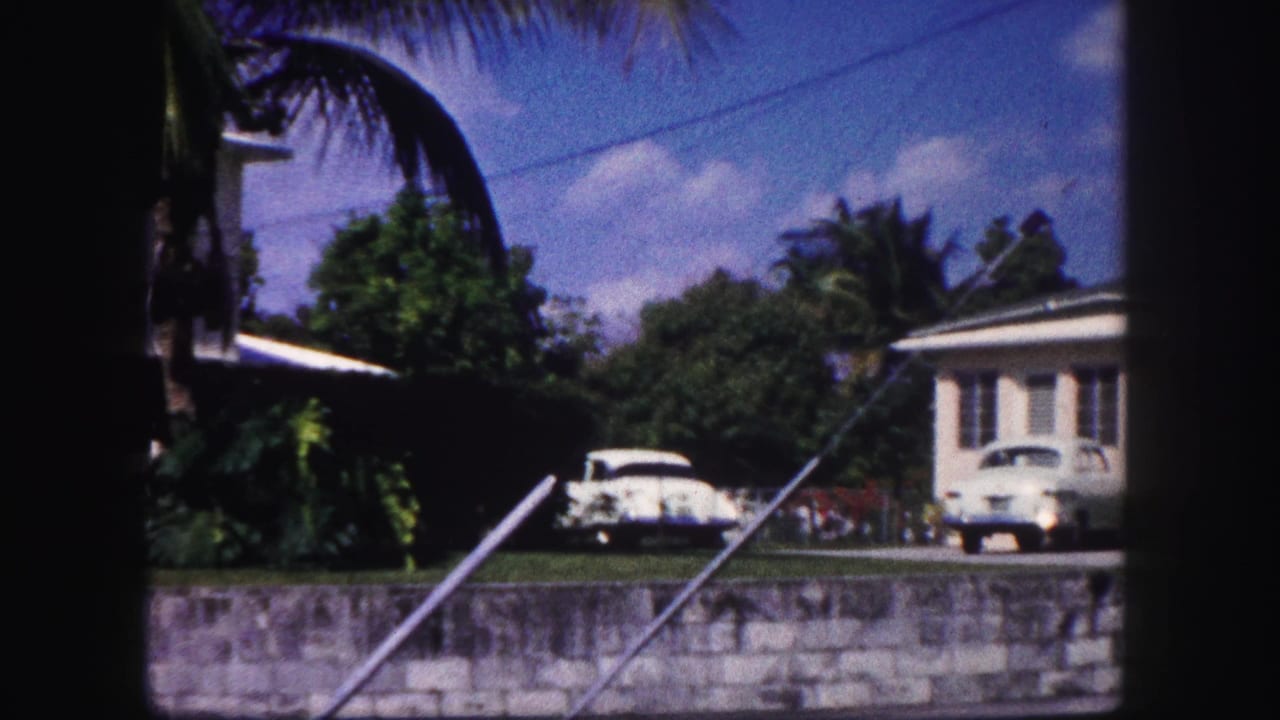 Palm-lined residential street with two light-colored vintage cars near white houses.