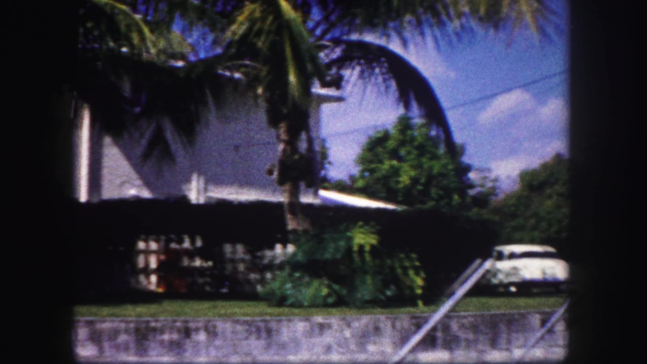 1960 Tampa residential view with a white house, palms, shrubbery, low wall, and a pale parked car partly visible.