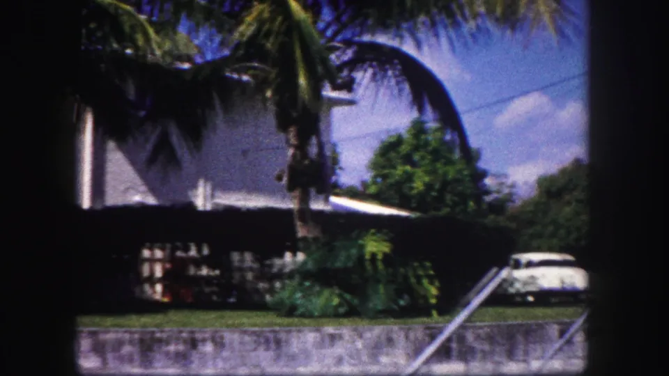 1960 Tampa residential view with a white house, palms, shrubbery, low wall, and a pale parked car partly visible.