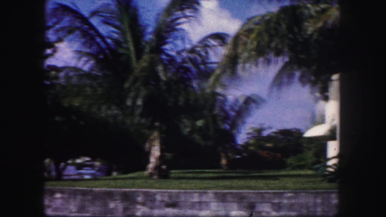 Palm trees, lawn, and a low wall seen through dark 8mm frame edges.