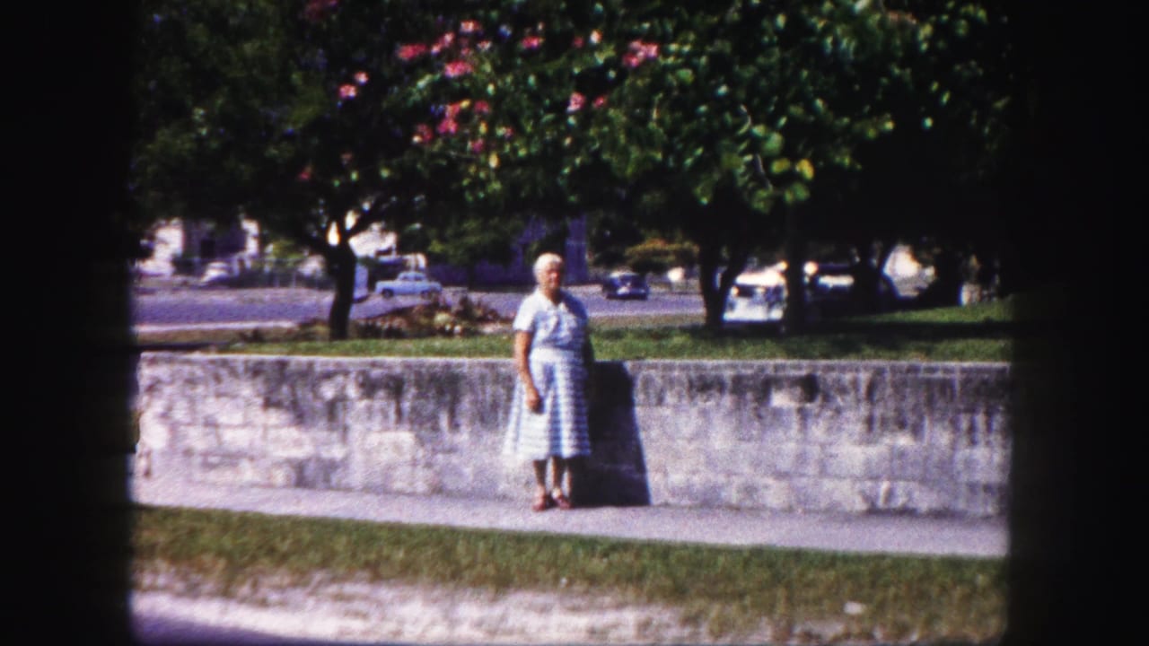 Adult woman in a checked dress stands by a low wall under trees.