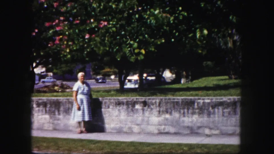 Adult woman in a checked dress stands near a low wall in a sunlit Tampa park scene, framed by trees, grass, and distant cars.