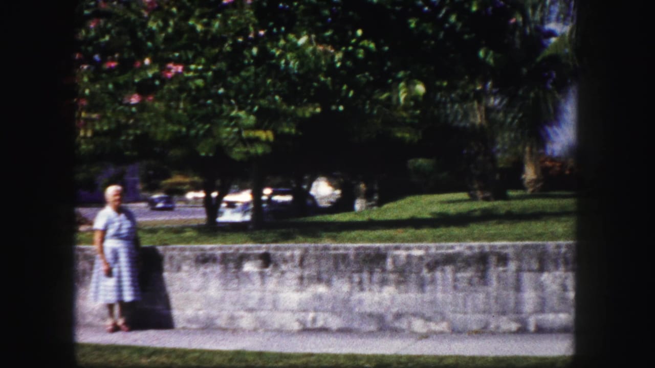 In 1960 Tampa home-movie footage, a woman stands by a sidewalk and stone wall with palms, lawn, trees, and parked cars behind her.